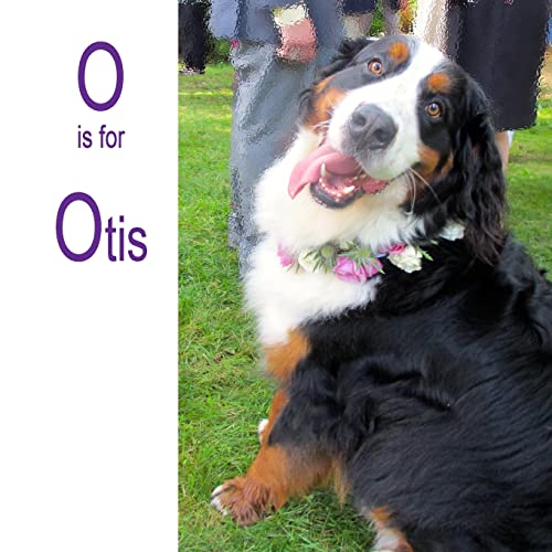 Stock image for O is for Otis for sale by Welcome Back Books