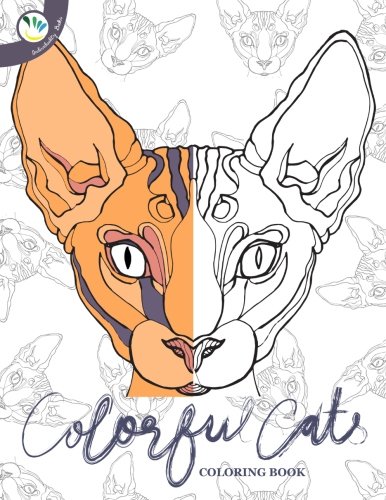 Beispielbild fr Colorful Cats Coloring Book zum Verkauf von THE SAINT BOOKSTORE