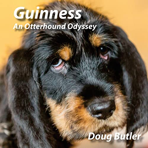 Stock image for Guinness: An Otterhound Odyssey for sale by THE SAINT BOOKSTORE