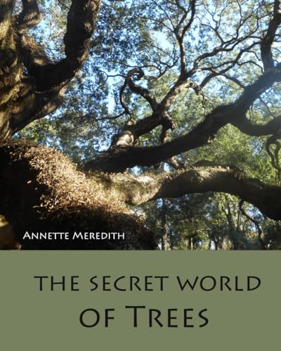 Stock image for The Secret World of Trees for sale by Revaluation Books