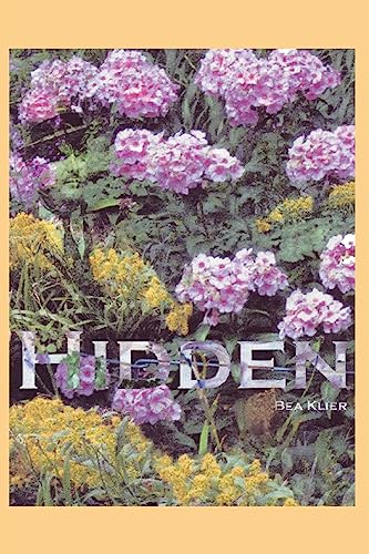 9781523430833: Hidden: A Novel