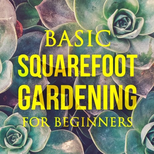 Basic Square Foot Gardening for Beginners: Garden Technique, Space Gardening, Herb Gardening - Anne Hudson