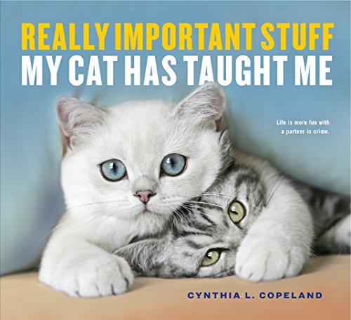 Beispielbild fr Really Important Stuff My Cat Has Taught Me zum Verkauf von Wonder Book