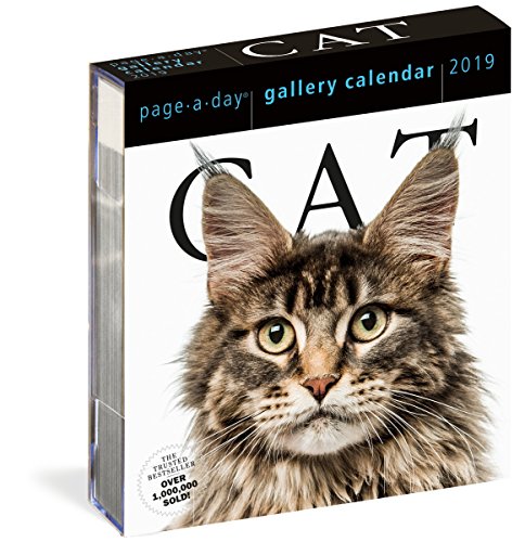 Imagen de archivo de Cat Page-A-Day Gallery Calendar 2019 a la venta por Save With Sam