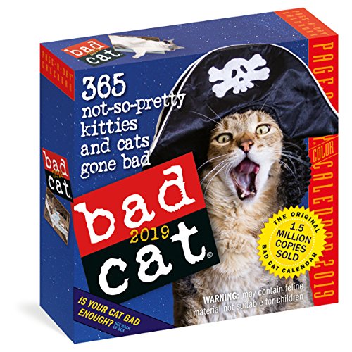 

Bad Cat Page-A-Day Calendar 2019