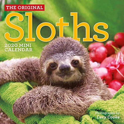 9781523505784: Original Sloths Mini Wall Calendar 2020