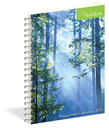 Beispielbild fr Audubon Engagement Calendar 2020 zum Verkauf von BooksRun