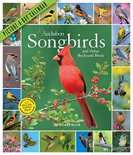 Beispielbild fr Audubon Songbirds and Other Backyard Birds Picture-A-Day Wall Calendar 2020 zum Verkauf von Save With Sam