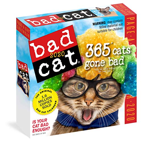 Imagen de archivo de Bad Cat Colour Page-A-Day Calendar 2020 a la venta por medimops