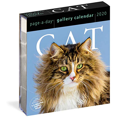 9781523506422: Cat Gallery 2020 Calendar