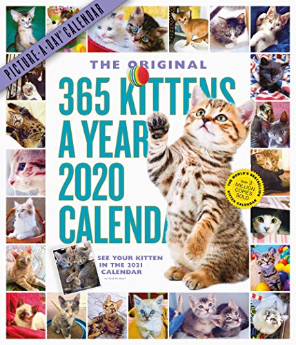 Imagen de archivo de 365 Kittens-A-Year Picture-A-Day Wall Calendar 2020 a la venta por medimops