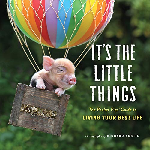 Imagen de archivo de It's the Little Things: The Pocket Pigs' Guide to Living Your Best Life (Inspiration Book, Gift Book, Life Lessons, Mini Pigs)) a la venta por SecondSale