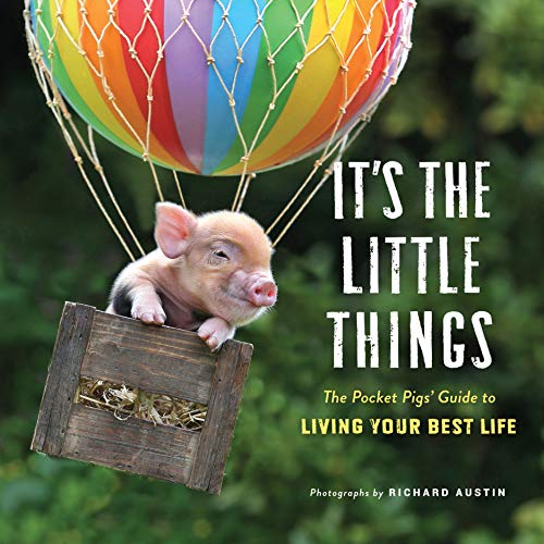 Stock image for It's the Little Things: The Pocket Pigs' Guide to Living Your Best Life (Inspiration Book, Gift Book, Life Lessons, Mini Pigs) for sale by Orion Tech