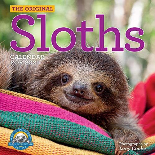 Stock image for Original Sloths 2021 Calendar for sale by medimops
