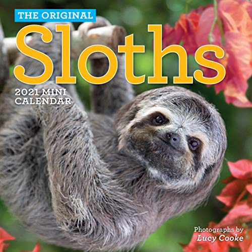 Stock image for Original Sloths Mini Wall Calendar 2021 for sale by Hawking Books