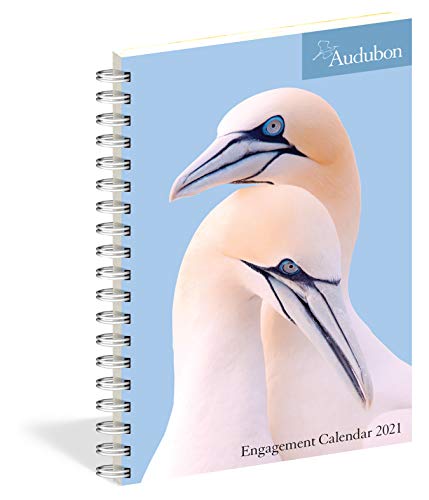 Beispielbild fr Audubon Engagement Calendar 2021 zum Verkauf von SecondSale
