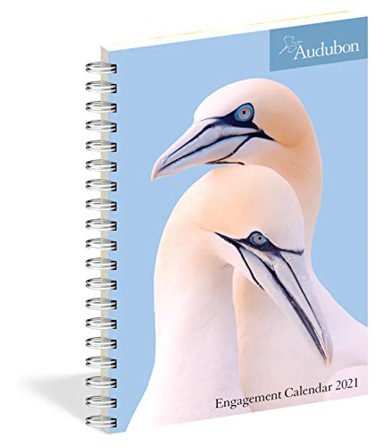 9781523508693: Audubon Engagement Calendar 2021