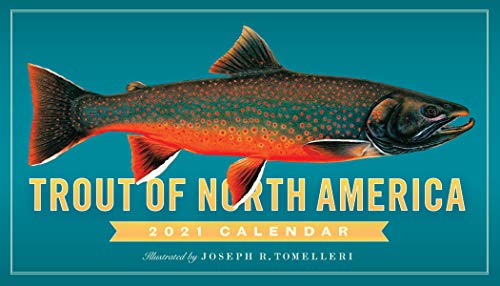 Stock image for Trout of North America Wall Calendar 2021 for sale by Ergodebooks