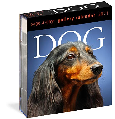 Beispielbild fr Dog Page-A-Day Gallery Calendar 2021 zum Verkauf von BooksRun