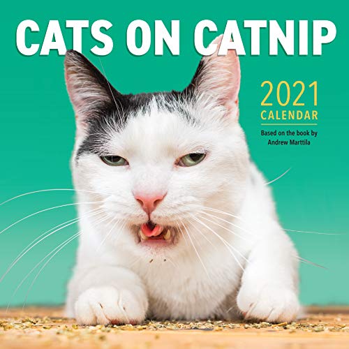 Stock image for Cats on Catnip Wall Calendar 2021 for sale by GF Books, Inc.