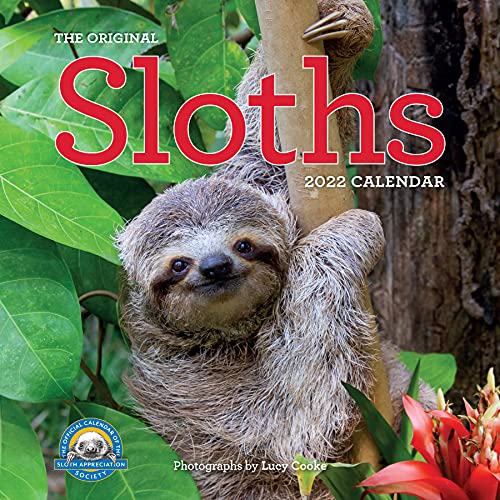 Stock image for Original Sloths Wall Calendar 2022: 12 months of irresitable cuteness, sloth trivia, stories, and facts for sale by Big River Books