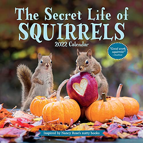 Imagen de archivo de The Secret Life of Squirrels Wall Calendar 2022 a la venta por GF Books, Inc.