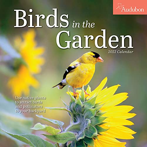 Stock image for Audubon Birds in the Garden Wall Calendar 2022 for sale by GF Books, Inc.