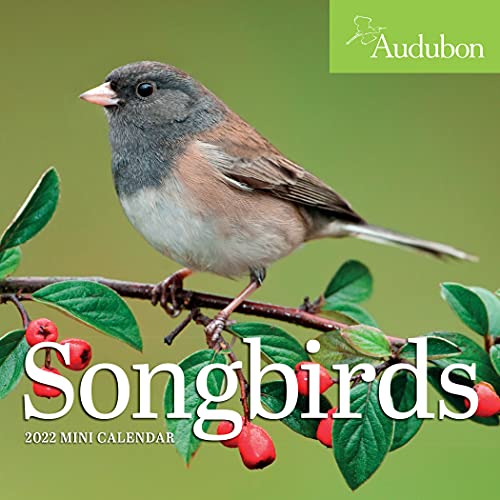 Beispielbild fr Audubon Songbirds Mini Wall Calendar 2022 zum Verkauf von Big River Books