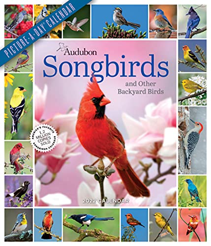 Beispielbild fr Audubon Songbirds and Other Backyard Birds Picture-A-Day Wall Calendar 2022: Your Daily Sighting of Songsters That Bring Color, Joy, and Sweet Melodies. zum Verkauf von Revaluation Books