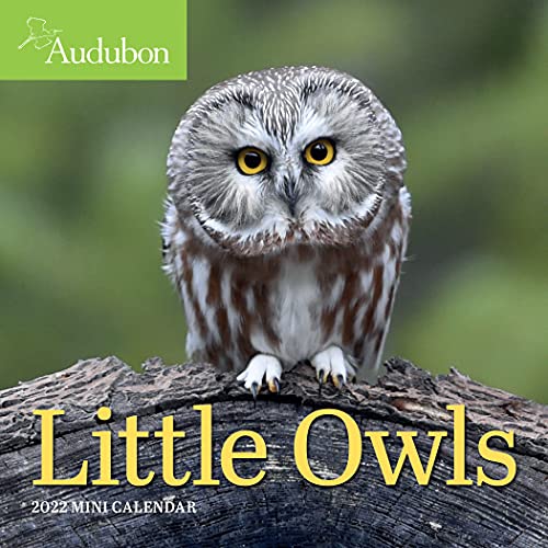 9781523512560: Audubon Little Owls Mini Wall Calendar 2022