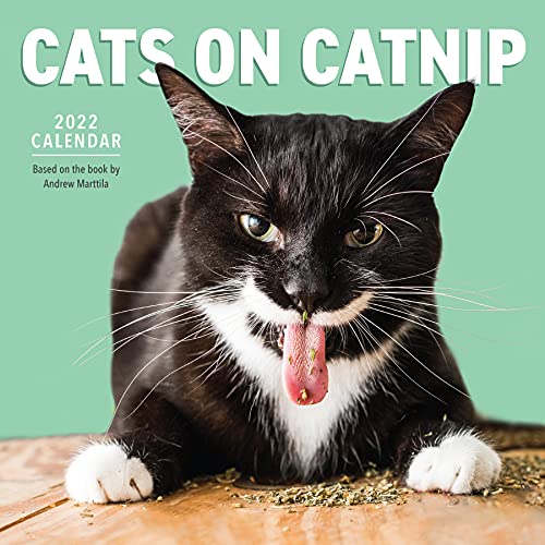 Stock image for Cats on Catnip Wall Calendar 2022 for sale by GF Books, Inc.
