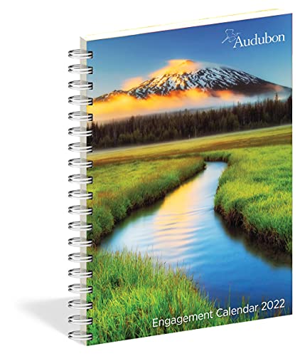 Stock image for Audubon Engagement Calendar 2022 for sale by BooksRun