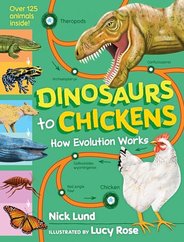Stock image for Dinosaurs to Chickens: How Evolution Works for sale by HPB-Ruby