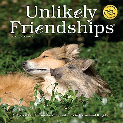 unlikely-friendships-wall-calendar-2022-holland-jennifer-s-workman-calendars-9781523513284