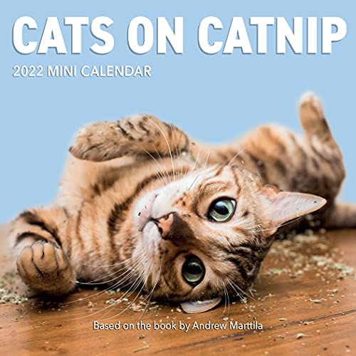Stock image for Cats on Catnip Mini Wall Calendar 2022: Cats on Catnip Mini for sale by Wizard Books