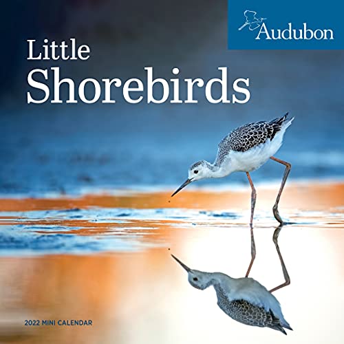 9781523514519: Audubon Little Shorebirds Mini Wall Calendar 2022