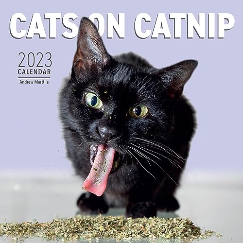 Stock image for Cats on Catnip Wall Calendar 2023: A Year of Cats Living the High Life and Feeling Niiiiice for sale by GF Books, Inc.