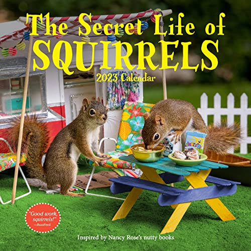 Imagen de archivo de The Secret Life of Squirrels Wall Calendar 2023: Wild Squirrels Interacting with Handcrafted Domestic Scenes a la venta por GF Books, Inc.