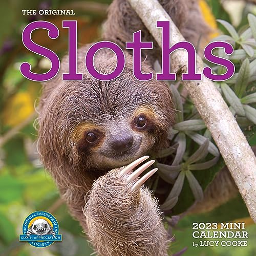 Stock image for Original Sloths Mini Wall Calendar 2023: Celebrate Life in the Slow Lane for sale by SecondSale