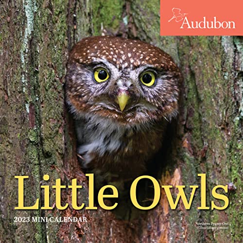 Beispielbild fr Audubon Little Owls Mini Wall Calendar 2023: A Year of Fluffy and Round Owls zum Verkauf von Goodwill of Colorado