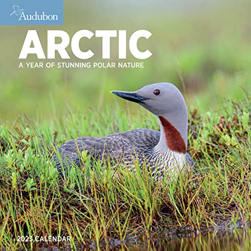 Beispielbild fr Audubon Arctic Wall Calendar 2023: A Year of Stunning Polar Nature zum Verkauf von GF Books, Inc.