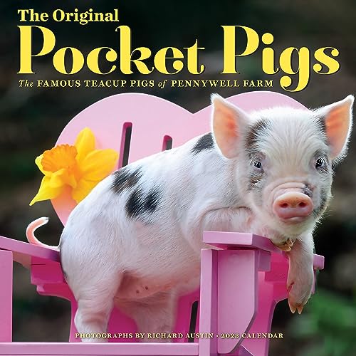 9781523516667: The Original Pocket Pigs Wall Calendar 2023: The Famous Teacup Pigs of Pennywell Farm