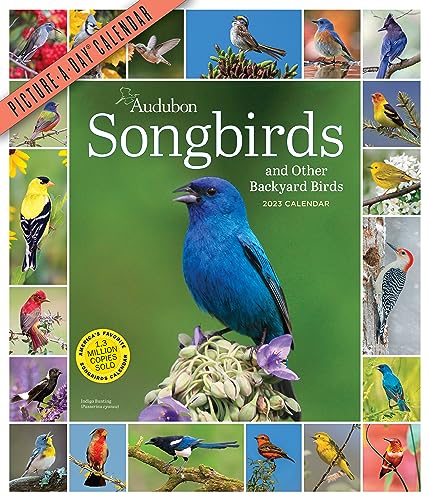 Beispielbild fr Audubon Songbirds and Other Backyard Birds Picture-A-Day Wall Calendar 2023: A Beautiful Bird Filled Way to Keep Track of 2023 zum Verkauf von GF Books, Inc.