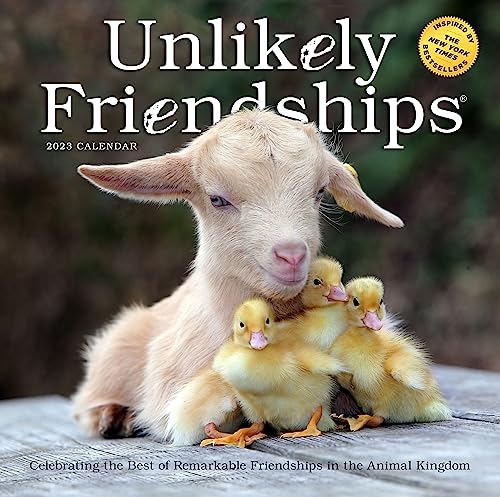 Stock image for Unlikely Friendships Wall Calendar 2023: Heartwarming Photographs Paired with Stories of Interspecies Friendships for sale by GF Books, Inc.