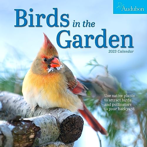 Stock image for Audubon Birds in the Garden Wall Calendar 2023: Use Native Plants to Attract Birds and Pollinators to Your Backyard for sale by Books Unplugged