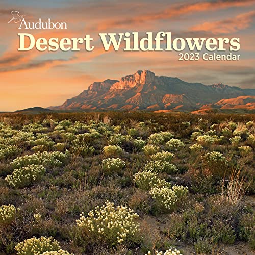 Imagen de archivo de Audubon Desert Wildflowers Wall Calendar 2023: A Visual Delight for Nature Lovers and Gardeners Alike a la venta por BooksRun