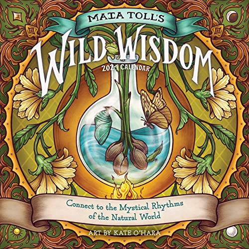 Stock image for Maia Toll's Wild Wisdom Wall Calendar 2024: Connect to the Mystical Rhythms of the Natural World for sale by Book Deals