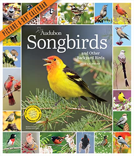 Beispielbild fr Audubon Songbirds and Other Backyard Birds Picture-A-Day Wall Calendar 2024: A Beautiful Bird Filled Way to Keep Track of 2024 zum Verkauf von GF Books, Inc.