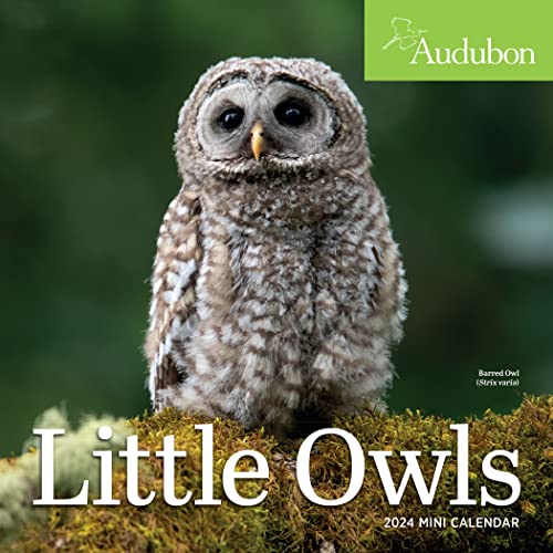 Beispielbild fr Audubon Little Owls Mini Wall Calendar 2024: A Year of Fluffy and Round Owls zum Verkauf von Emerald Green Media