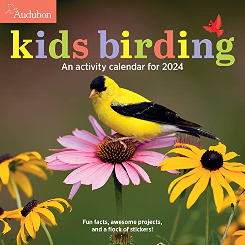 Stock image for 2024 Kids Birding Audubon for sale by Strand Book Store, ABAA